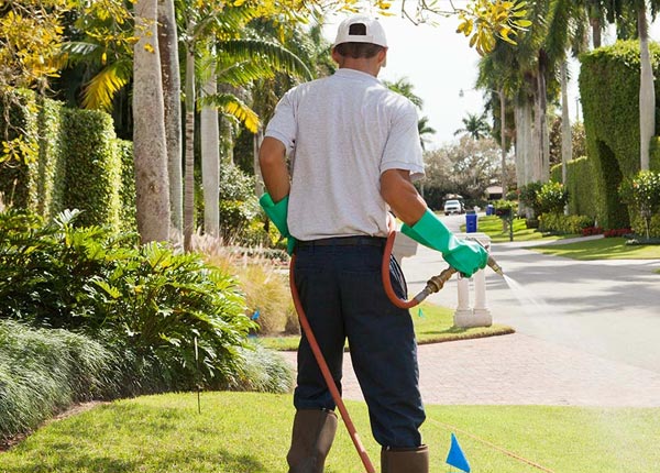 About White Hall IL Pest Control Pros